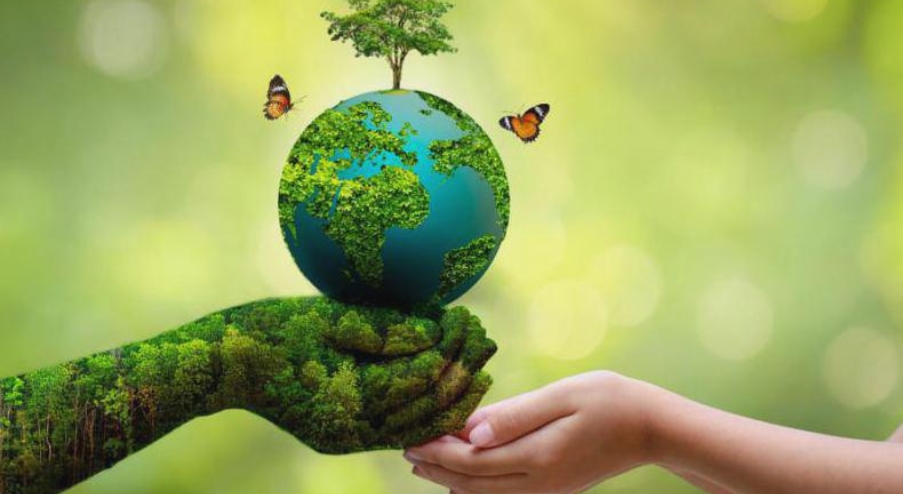 Environmental Projects