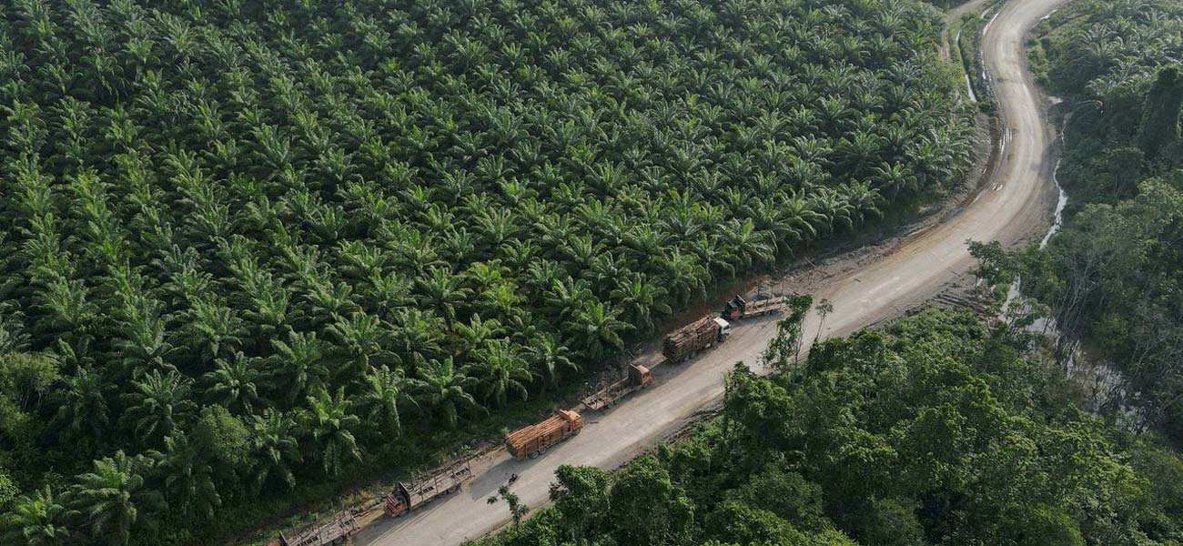 muddy mountainous terrain for concrete work in Indonesia